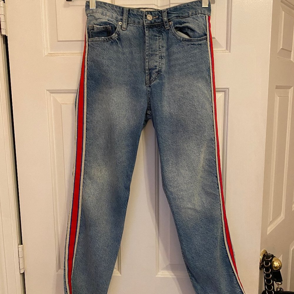 Zara Striped Denim